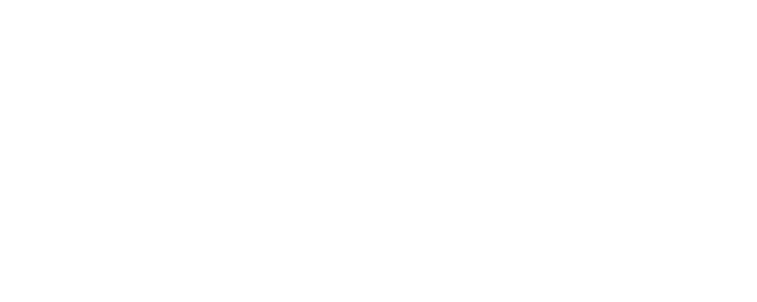 Prof Belegni